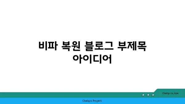 비파 복원| 옛날 보물의 새로운 삶 | 전통 악기 복원, 비파 수리, 문화재 보존