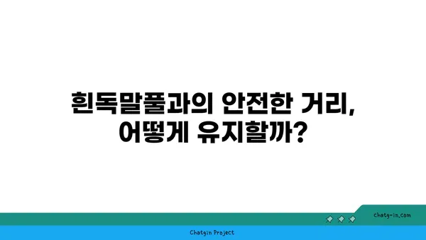 흰독말풀의 매력과 위험성| 아름다움 뒤에 숨겨진 독성 | 식물, 독성, 주의사항, 흰독말풀 효능, 흰독말풀 재배