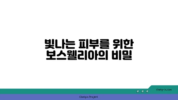 보스웰리아의 놀라운 효능과 활용법| 건강과 아름다움을 위한 완벽 가이드 | 보스웰리아, 항염증 효과, 관절 건강, 피부 개선