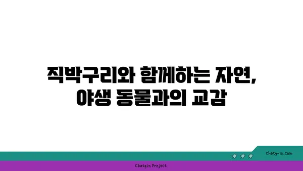 직박구리의 비밀| 생태, 서식지, 그리고 우리 주변의 특징 | 직박구리, 조류 관찰, 야생 동물