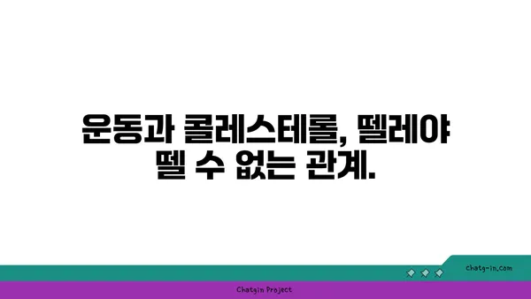 콜레스테롤 낮추는 3가지 초간단 생활 습관 | 건강, 식단, 운동, 혈관 건강