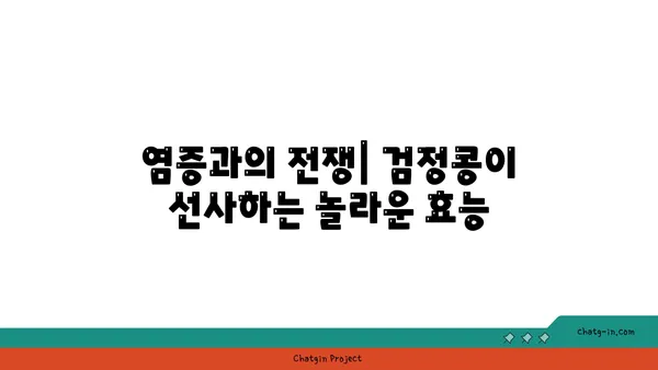 검정콩의 놀라운 효능| 항산화력과 염증 감소 효과의 과학적 비밀 | 건강, 슈퍼푸드, 검은콩, 항산화, 염증