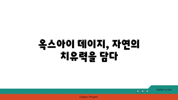 옥스아이 데이지의 놀라운 효능| 자연 치유를 위한 당신의 선택 | 옥스아이 데이지, 천연 치료, 건강, 허브, 민간요법