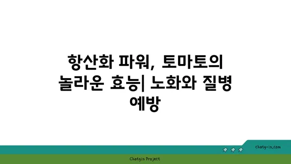 토마토의 약리학적 효능| 전통 의학에서 현대적 활용까지 | 건강, 영양, 항산화, 혈압, 면역