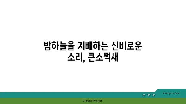 큰소쩍새의 비밀| 멸종위기종, 생태, 그리고 보호 | 소쩍새, 야생동물, 멸종위기, 생태계, 보호