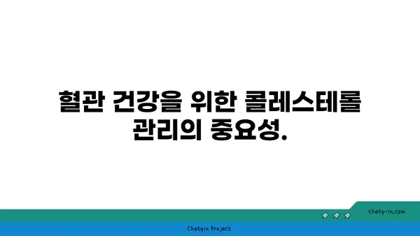 콜레스테롤 낮추는 3가지 초간단 생활 습관 | 건강, 식단, 운동, 혈관 건강