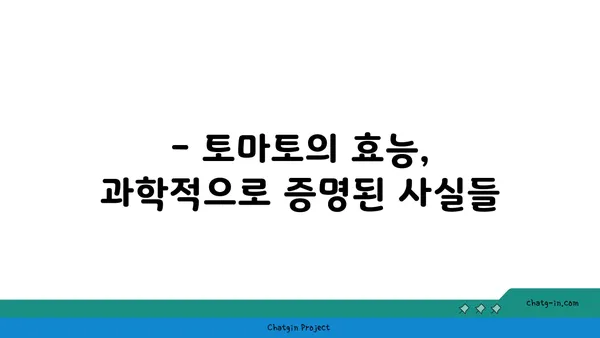 토마토의 놀라운 효능| 영양, 건강, 요리 레시피까지 | 토마토, 건강 식품, 레시피, 영양 정보