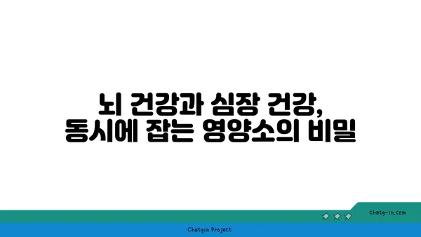 심뇌 건강 지키는 5가지 필수 영양소 가득한 음식 | 건강 식단, 뇌 건강, 심장 건강, 영양 정보