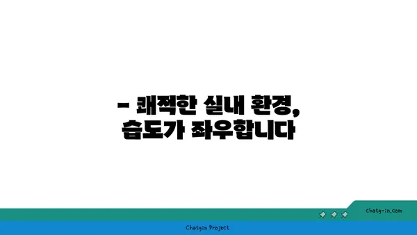 쾌적함을 위한 최적의 습도는? | 쾌적한 실내 환경, 상대 습도, 건강 팁