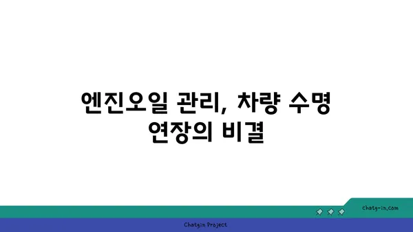 엔진오일 점검의 고급 기술| 차량 관리의 새로운 차원 | 엔진오일, 점검, 관리, 차량 정비, 팁