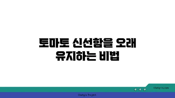 토마토 고르는 법 & 보관법| 최상의 맛과 영양을 위한 완벽 가이드 | 토마토 선택, 토마토 보관, 신선한 토마토