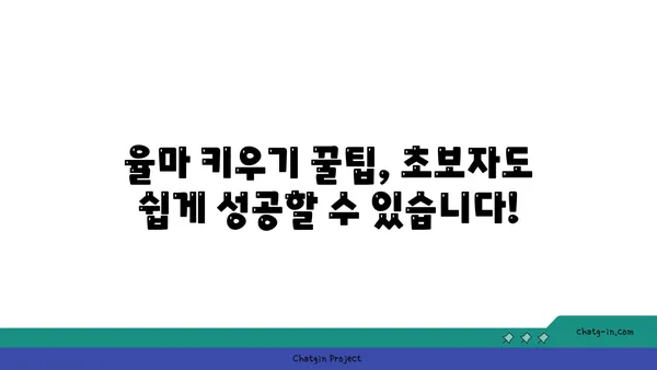 율마 키우기 완벽 가이드| 잎, 물주기, 번식, 병충해 관리 | 율마, 잎꽂이, 삽목, 관리법, 팁