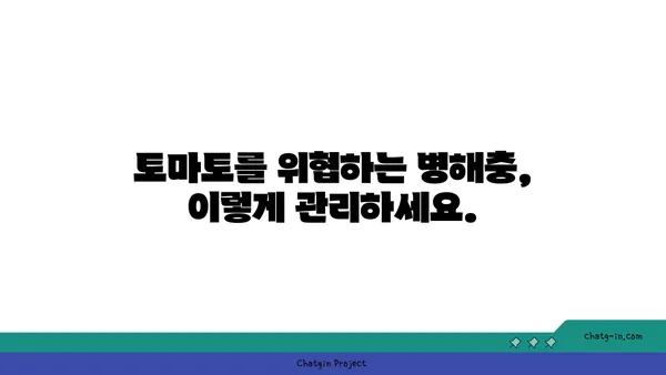 정원의 스타| 토마토 재배 완벽 가이드 | 토마토 품종, 재배 방법, 병해충 관리, 수확 팁