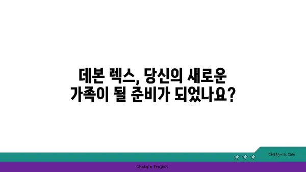 데본 렉스 고양이 | 성격, 특징, 그리고 키우기 | 데본 렉스, 털 없는 고양이, 반려묘