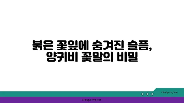 양귀비의 매력, 꽃말과 전설에서 찾아보기 | 꽃, 아름다움, 전설, 역사