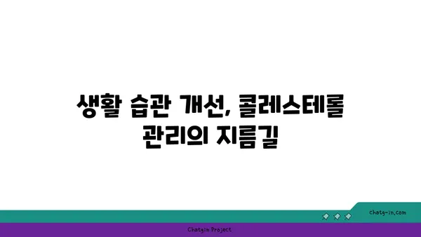 콜레스테롤 걱정 끝내기| 3가지 필수 조처로 건강 되찾기 | 콜레스테롤 관리, 건강 식단, 운동, 생활 습관