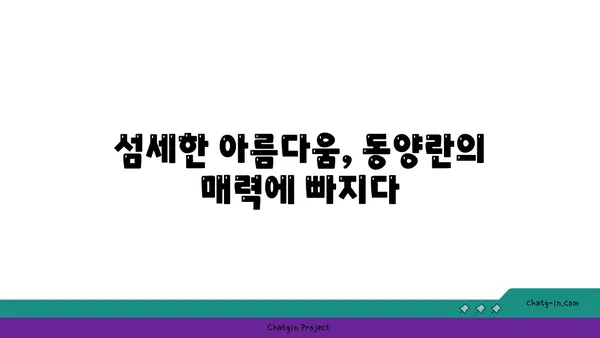 동양란의 매력에 빠지다| 종류별 특징과 관리 가이드 | 동양란, 난초, 난 종류, 재배, 관리, 키우기