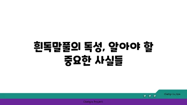 흰독말풀의 매력과 위험성| 아름다움 뒤에 숨겨진 독성 | 식물, 독성, 주의사항, 흰독말풀 효능, 흰독말풀 재배