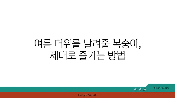 햇살 가득 머금은 달콤함, 복숭아의 매력| 영양 가치와 맛의 완벽한 조화 | 복숭아 효능, 복숭아 맛있게 먹는 방법, 여름 과일