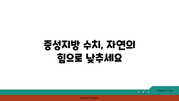 중성지방 감소에 효과적인 슈퍼푸드 10가지 | 건강 식단, 고지혈증, 콜레스테롤 관리