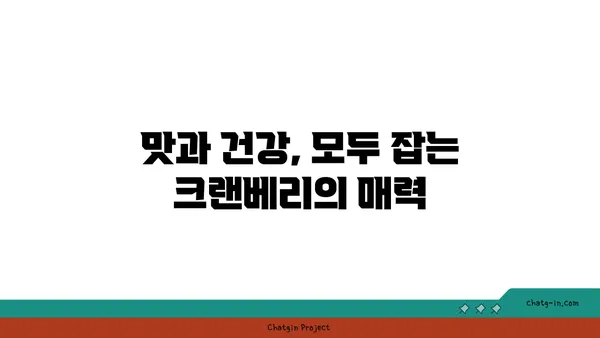 크랜베리의 놀라운 효능 7가지 | 건강, 슈퍼푸드, 항산화, 면역력, 겨울철 건강