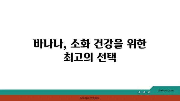 바나나 섭취의 장기적인 이점| 건강한 삶을 위한 7가지 이유 | 건강, 영양, 바나나, 장점, 효능