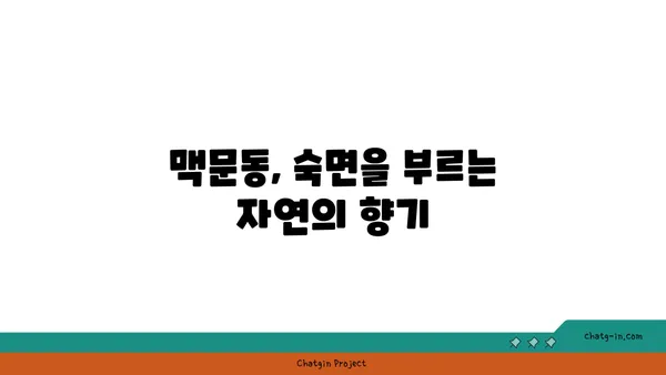 맥문동으로 숙면을 부르는 공간 연출| 수면 공간 최적화 가이드 | 맥문동, 수면, 인테리어, 공간 디자인, 숙면 환경