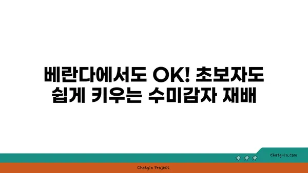 수미감자 집에서 키우기| 초보자를 위한 쉬운 재배 가이드 | 수미감자, 감자 재배, 텃밭, 베란다 농장