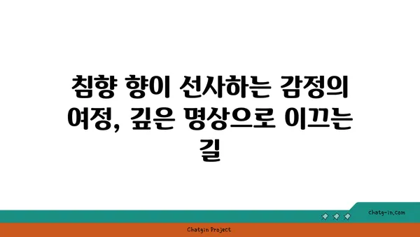 침향 향기가 마음에 주는 선물| 심리적 효과와 명상 | 침향, 아로마테라피, 스트레스 해소, 집중력 향상, 명상