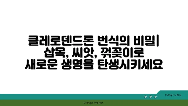 클레로덴드론 종류 및 재배 가이드 | 꽃말, 관리법, 번식,  식물 정보