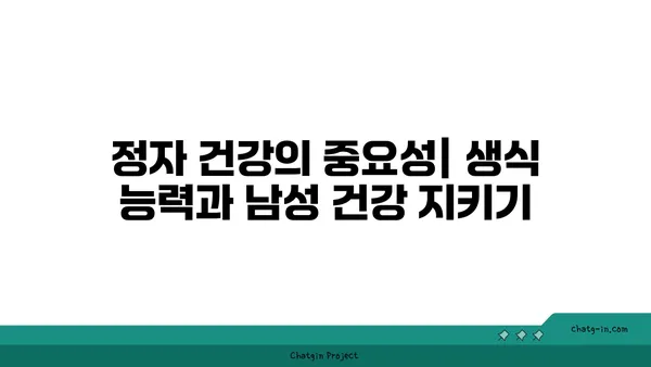 정자의 모든 것| 생성, 기능, 건강, 그리고 불임 | 남성 건강, 생식, 정액 검사, 불임 치료