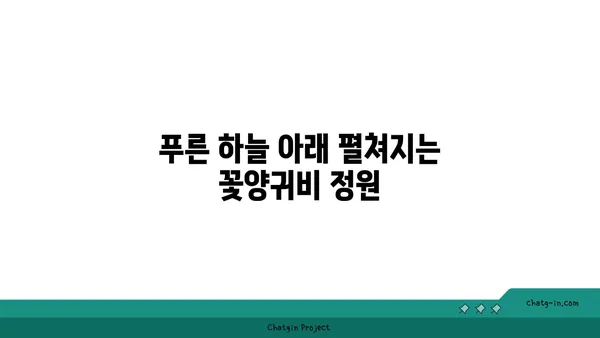 꽃양귀비의 매력에 빠지다| 아름다운 꽃말과 함께 피어나는 전설 | 꽃양귀비, 꽃말, 전설, 양귀비,  poppies