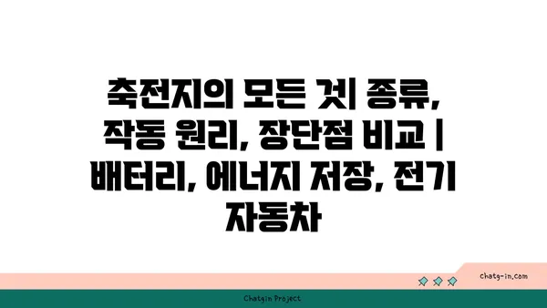 축전지의 모든 것| 종류, 작동 원리, 장단점 비교 | 배터리, 에너지 저장, 전기 자동차