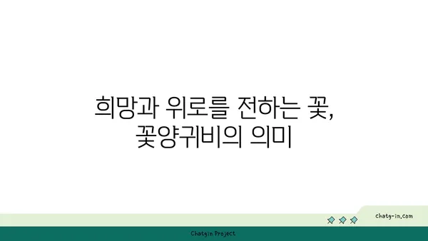 꽃양귀비의 매력에 빠지다| 아름다운 꽃말과 함께 피어나는 전설 | 꽃양귀비, 꽃말, 전설, 양귀비,  poppies