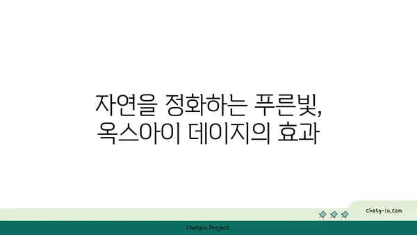 옥스아이 데이지| 환경을 위한 작은 영웅 | 생태계, 꿀벌, 토양 개선, 자연 정화