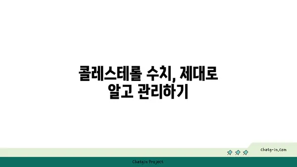 콜레스테롤 제어 3단계| 건강한 심혈관을 위한 길 | 콜레스테롤 관리, 심혈관 건강, 식단, 운동, 생활 습관