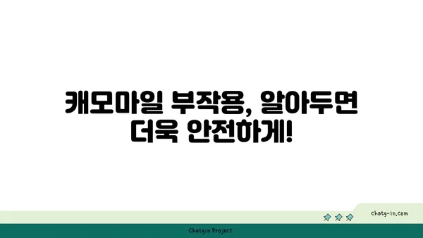 캐모마일의 효능과 활용법| 숙면, 피부, 건강까지 | 허브, 차, 천연, 레시피, 부작용