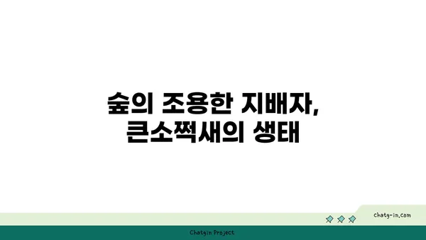 큰소쩍새의 비밀| 멸종위기종, 생태, 그리고 보호 | 소쩍새, 야생동물, 멸종위기, 생태계, 보호