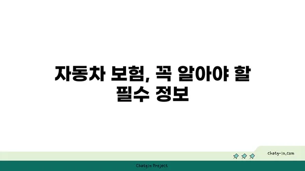 자동차보험료, 나에게 딱 맞는 보험 찾기 | 비교견적, 할인, 보험금 청구, 주의사항