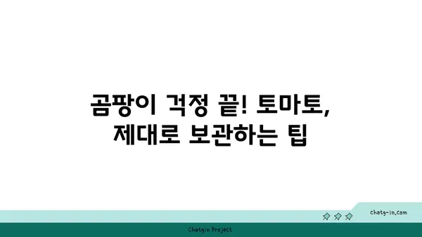 토마토 저장| 오래도록 맛있는 토마토를 즐기는 5가지 비법 | 토마토 보관, 신선도 유지, 팁