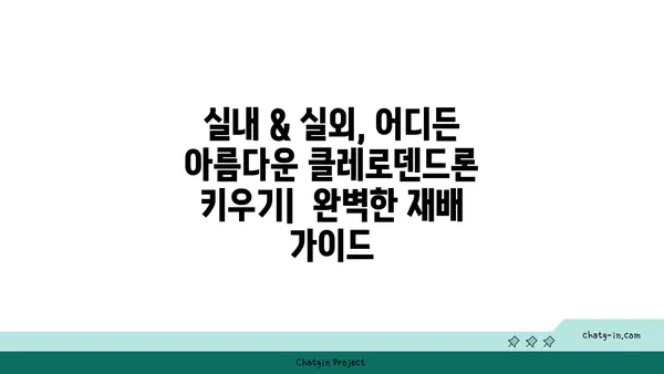 클레로덴드론 종류 및 재배 가이드 | 꽃말, 관리법, 번식,  식물 정보