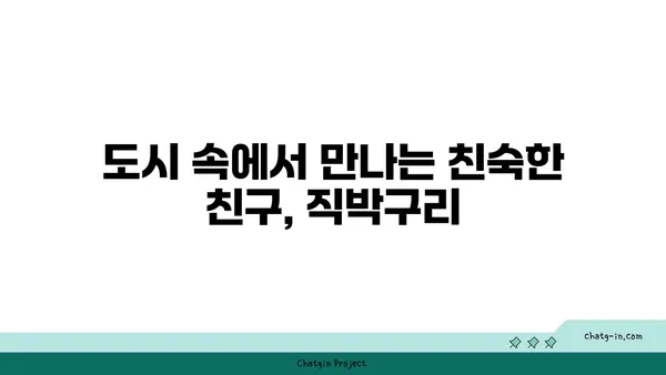 직박구리의 비밀| 생태, 서식지, 그리고 우리 주변의 특징 | 직박구리, 조류 관찰, 야생 동물