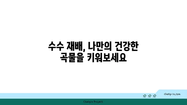 수수의 모든 것| 재배부터 요리까지 완벽 가이드 | 수수 효능, 수수 떡, 수수죽, 수수 밭, 수수 재배, 수수 요리법