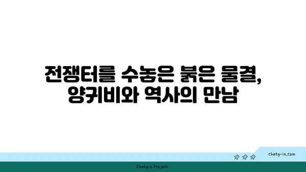 양귀비의 매력, 꽃말과 전설에서 찾아보기 | 꽃, 아름다움, 전설, 역사