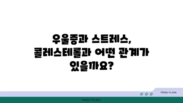 콜레스테롤과 정서 건강| 대사와 기분의 상관관계 | 콜레스테롤, 정신 건강, 기분 변화, 스트레스, 건강 관리