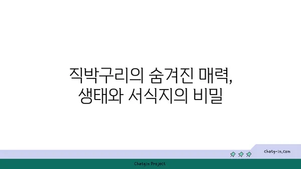 직박구리의 비밀| 생태, 서식지, 그리고 우리 주변의 특징 | 직박구리, 조류 관찰, 야생 동물