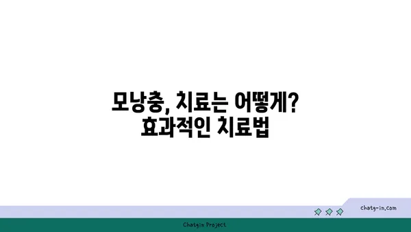 모낭충, 알아야 할 모든 것 | 증상, 원인, 치료, 예방