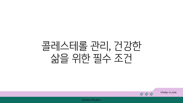 콜레스테롤 걱정 끝내기| 3가지 필수 조처로 건강 되찾기 | 콜레스테롤 관리, 건강 식단, 운동, 생활 습관