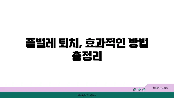 집안 좀과의 전쟁| 효과적인 방역 & 관리 가이드 | 벌레 퇴치, 청소 팁, 예방법