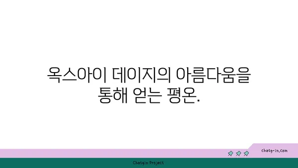 옥스아이 데이지 명상| 자연의 아름다움으로 마음을 정화하는 방법 | 명상, 자연, 옥스아이 데이지, 집중력, 마음챙김